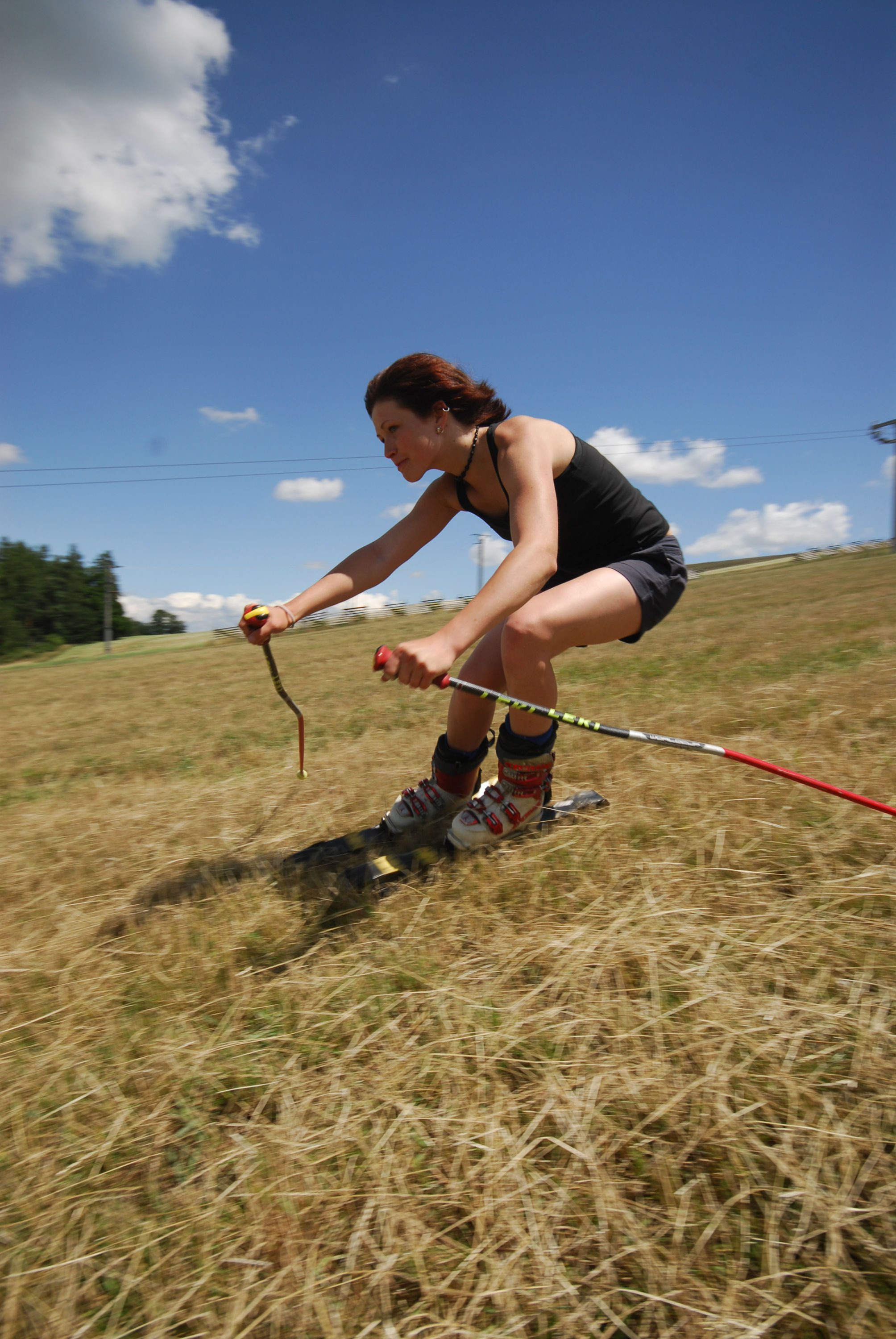 Recreational grass skiing